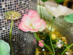 -顺意·顺德家乡菜(国际人才大厦店)