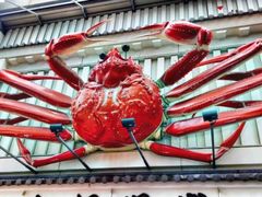-蟹道乐(道顿堀本店)