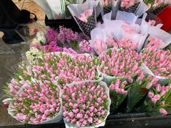 -循礼门鲜花花市(武汉循礼门店)