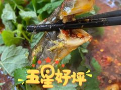 -彭大姐老店黄辣丁(新津店)