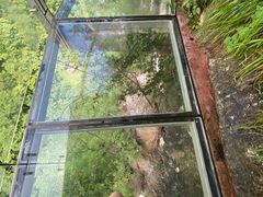 -千岛湖石林