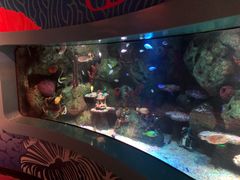 -沈阳海洋探索中心