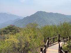 -大岭沟猕猴桃谷风景区