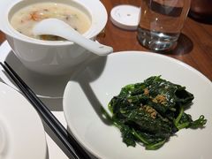 -觀芷隐轩