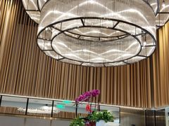 大堂-莆田餐厅PUTIEN(三里屯店)