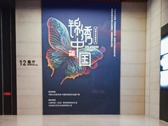 -北京工艺美术博物馆