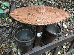 -七仙岭温泉国家森林公园