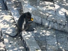 -乌鲁瓦图寺
