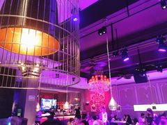 -蝴蝶汇音乐酒馆(罗湖店)