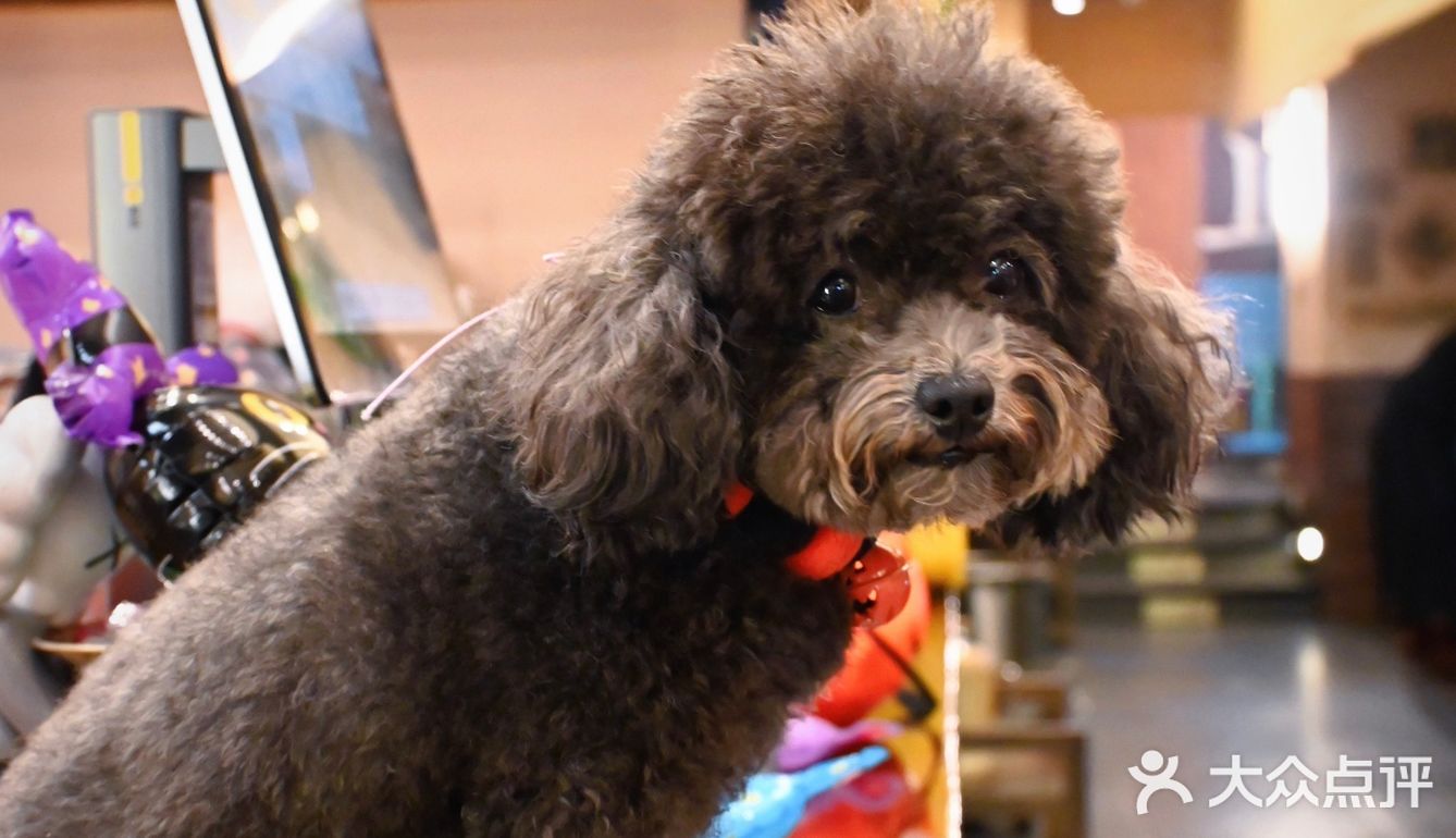 非遗烤肉我在重庆吃到了！