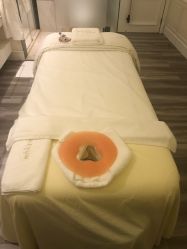 -奥斯芬欧系贵族SPA