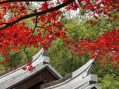 -岳麓山风景名胜区