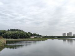 -大兴滨河森林公园