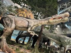 -湖南省地质博物馆