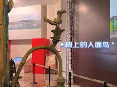 -汕头市博物馆