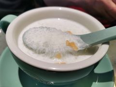 椰奶雪燕-大头力茶餐厅(花都融创茂店)