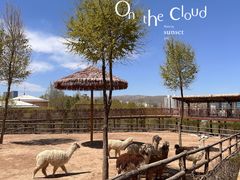 -青藏高原野生动物园