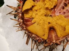 -揽季锅物会.福建黄鱼.海鲜姿造(五四路店)