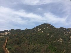 -大岭沟猕猴桃谷风景区