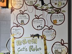 -豆逗聊愈猫阁Easy Life