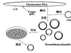 -S-TIME剧情真人密室逃脱(天一广场总店)