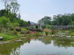 -东莞植物园