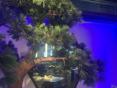 -绿茶餐厅(成都大悦城店)