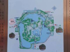 -团结湖公园