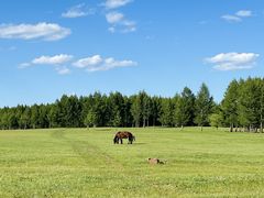 -塞罕坝国家级自然保护区