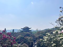 -贵州百里杜鹃风景名胜区