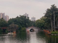 -荔湾湖公园