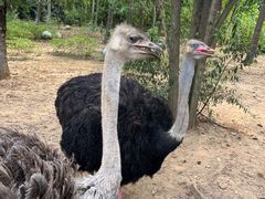 -大连森林动物园