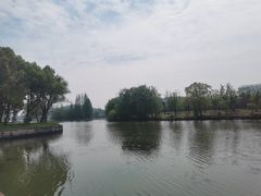 -鲁镇
