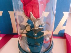 -BEAST野兽派(上海浦东嘉里城店)