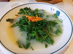 上汤桑叶-老莞家私房菜-超级鱼头佛跳墙