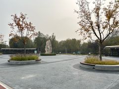 -绿堤公园