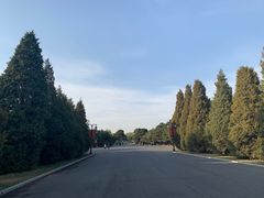 -北陵公园