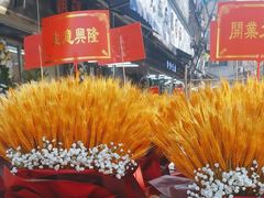 -武汉花鸟市场