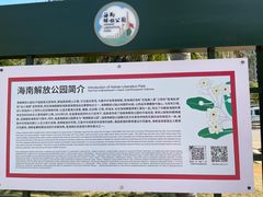 -临高角