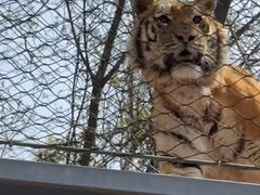 -栾川竹海野生动物园