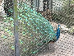 -重庆动物园·东二门售票处