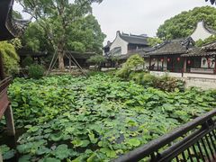 -上海醉白池公园