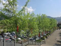 -阿依河景区