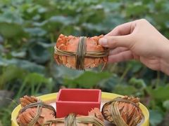 -七的湖·晚芳亭·阳澄湖农家菜·大闸蟹(莲花岛店)