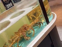 -同庆楼(滨湖万达广场店)