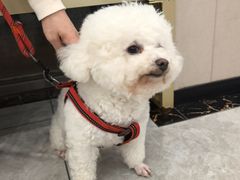 -瑞鹏宠物医院·骨外科·心肾科·肿瘤科(九亭店)