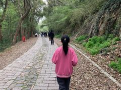 -上海佘山国家森林公园西佘山园