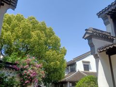 -东山雕花楼