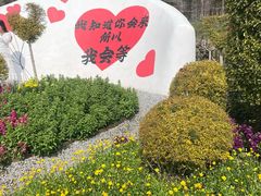 -荷兰花海