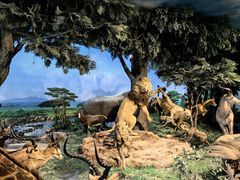 -国家自然博物馆